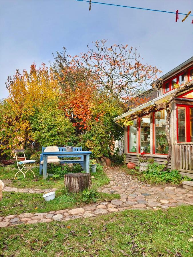 Gemuetliches Studio-Apartment In Ostseenaehe - Cosy Wulfi Probsteierhagen ภายนอก รูปภาพ