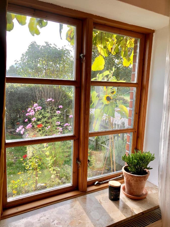 Gemuetliches Studio-Apartment In Ostseenaehe - Cosy Wulfi Probsteierhagen ภายนอก รูปภาพ